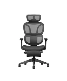 ergonomiczne-krzeslo-biurowe-siatka-podnozek-flexispot-bs5-pro