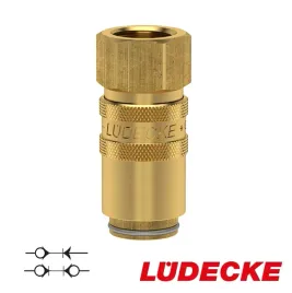 szybkozlaczka-regulacja-temp-zawor-dn-6-ludecke-gw-1-4-ms-hasco-z8