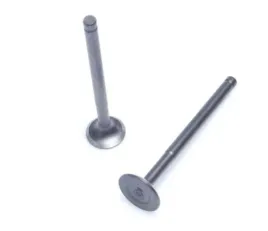 zawor-wydechowy-ssacy-4t-139qmb-gy6-69mm-dlugi
