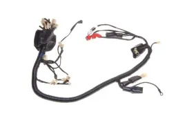 instalacja-wiazka-elektryczna-do-quada-atv-250-shineray-stxe