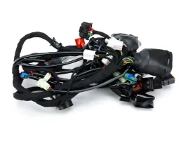 wiazka-elektryczna-do-romet-motors-gt-300-max