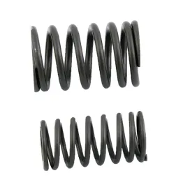 sprezyny-zaworow-bashan-bs150s-2-romet-motors-atv150
