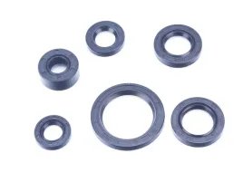 uszczelniacz-silnika-4t-ws50-ogar-poziomy-romet-motors-139fmb-zestaw