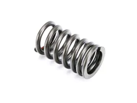 sprezyna-zaworow-romet-motors-lj125-romet-motors-white-city-romet-motors