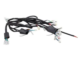 wiazka-elektryczna-romet-motors-ev1