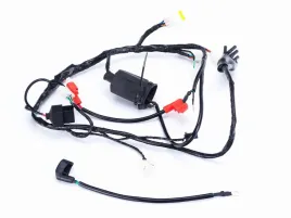 wiazka-elektryczna-romet-motors-z-one-t