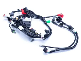 wiazka-elektryczna-romet-motors-adv-250