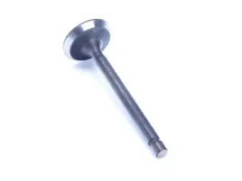 zawor-wydechowy-romet-motors-scmb250