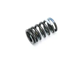 sprezyna-zaworowa-do-romet-motors-gt-300-max