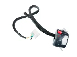 przelacznik-zespolony-prawy-do-romet-motors-rcr-125-2022r-benda-chinchill