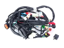 instalacja-wiazka-elektryczna-do-romet-motors-747-2021r