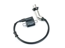 cewka-zaplonowa-do-romet-motors-gt-max-125