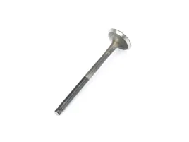 zawor-wydechowy-do-romet-motors-gt-max-125