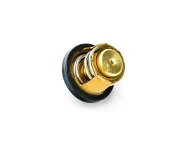 termostat-do-romet-motors-gt-300-max