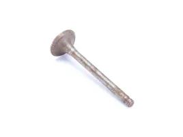 zawor-wydechowy-bs110s-2-skoro