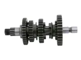walek-2-skrzyni-biegow-do-bashan-bs250s-5