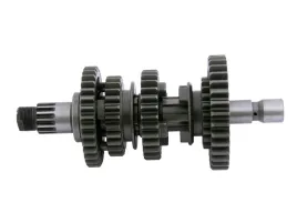 walek-2-skrzyni-biegow-do-bashan-bs250s-5