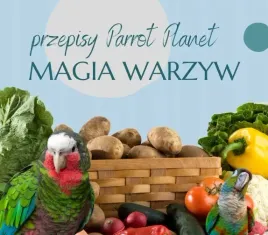 papuzia-kuchnia-parrotplanet-magia-warzyw-autorski-przepis-ady