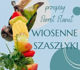 papuzia-kuchnia-parrotplanet-wiosenne-szaszlyki-autorski-przepis-ady