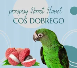 papuzia-kuchnia-parrotplanet-cos-dobrgo-autorski-przepis-ady