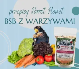 papuzia-kuchnia-parrotplanet-bird-street-bistro-z-warzywami-przepis-ady