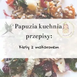 papuzia-kuchnia-parrotplanet-klosy-z-makaronem-autorski-przepis-ady