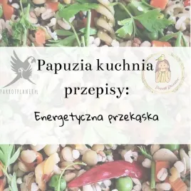 papuzia-kuchnia-parrotplanet-energetyczna-przekaska-autorski-przepis-ady