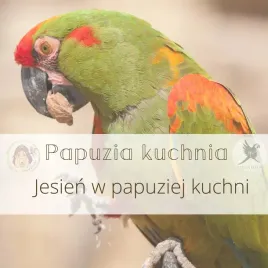 papuzia-kuchnia-parrotplanet-jesien-w-papuziej-kuchni-autorski-przepis-ady