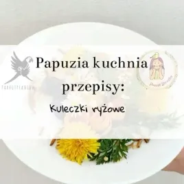 papuzia-kuchnia-parrotplanet-kuleczki-ryzowe-autorski-przepis-ady