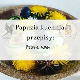 papuzia-kuchnia-parrotplanet-ptasie-sushi-autorski-przepis-ady