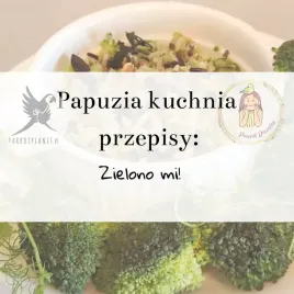 papuzia-kuchnia-parrotplanet-zielono-mi-autorski-przepis-ady