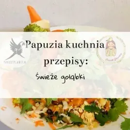 papuzia-kuchnia-parrotplanet-swieze-golabki-autorski-przepis-ady