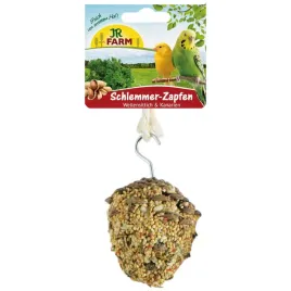 jr-farm-smakowita-szyszka-dla-smakoszy-przekaska-dla-papug-120-g