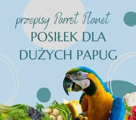 papuzia-kuchnia-parrotplanet-warzywa-i-kielki-dla-duzych-papug-przepis-ady