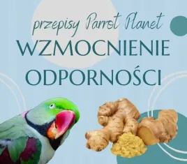 papuzia-kuchnia-parrotplanet-wzmocnienie-odpornosci-autorski-przepis-ady