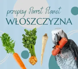 papuzia-kuchnia-parrotplanet-4-kolory-w-papuziej-diecie-przepis-ady