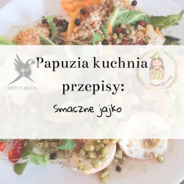 papuzia-kuchnia-parrotplanet-smaczne-jajko-autorski-przepis-ady