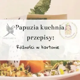 papuzia-kuchnia-parrotplanet-roznosci-w-kartonie-autorski-przepis-ady