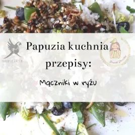 papuzia-kuchnia-parrotplanet-maczniki-w-ryzu-autorski-przepis-ady