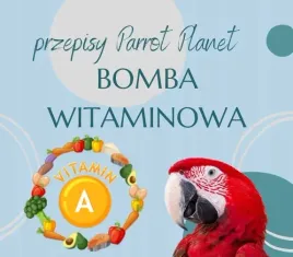 papuzia-kuchnia-parrotplanet-bomba-witaminy-a-autorski-przepis-ady