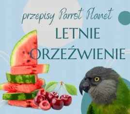 papuzia-kuchnia-parrotplanet-letnie-orzezwienie-autorski-przepis-ady