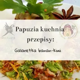 papuzia-kuchnia-parrotplanet-galaretka-banan-kiwi-autorski-przepis-ady