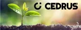 dmuchawa-do-lisci-cedrus-dm05pro-opcja-rozdrabniania-bez-opcji-rozdrabniania