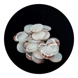 guziki-20mm-dwie-dziurki-bialy-10szt