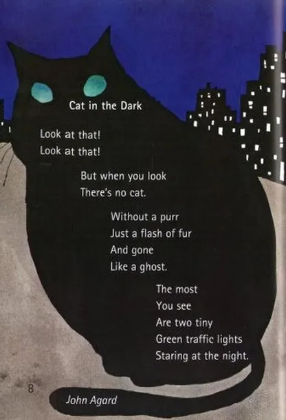collins-reading-level-3-twinkle-twinkle-firefly-tytul-collins-reading-level-3-twinkle-twinkle-firefly