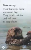 dk-read-and-learn-sea-otters-stan-nowy
