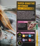 dk-encyclopedia-super-bug-hardback-tytul-dk-encyclopedia-super-bug-hardback