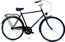 rower-dallas-holland-city-28-1spd-meski