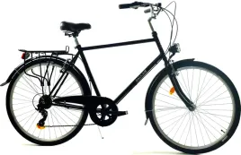 rower-dallas-holland-city-28-7spd-meski