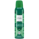 c-thru-luminous-emerald-dezodorant-spray-150ml